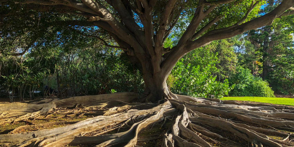 Post Thumbnail for The Vue Ecosystem in 2024