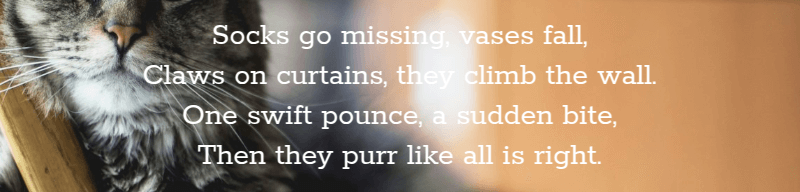 Screenshot showing just the white text for the same lines as before, no background at all.