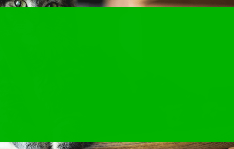 Screenshot showing the middle frame from before (holding the background alpha on the green channel) dilated in all directions to the point it has filled the entire filter area.