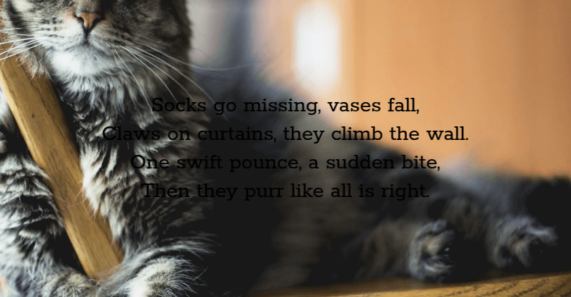 Screenshot showing the Chrome result when extracting the green channel as an alpha mask from the initial opaque portion of the input, the one having white text (all three RGB channels maxed out) on black background (all three RGB channels zeroed). This is just the actal text area in this case, the green channel of the frames appears to have been thrown out when thir alphas got zeroed at the first step which gave us just the fully opaque area.