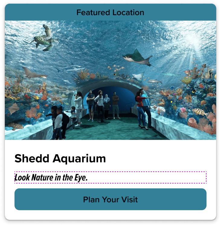 A card component showcasing the Shedd Aquarium with a featured location banner, an underwater scene, and a call-to-action button.