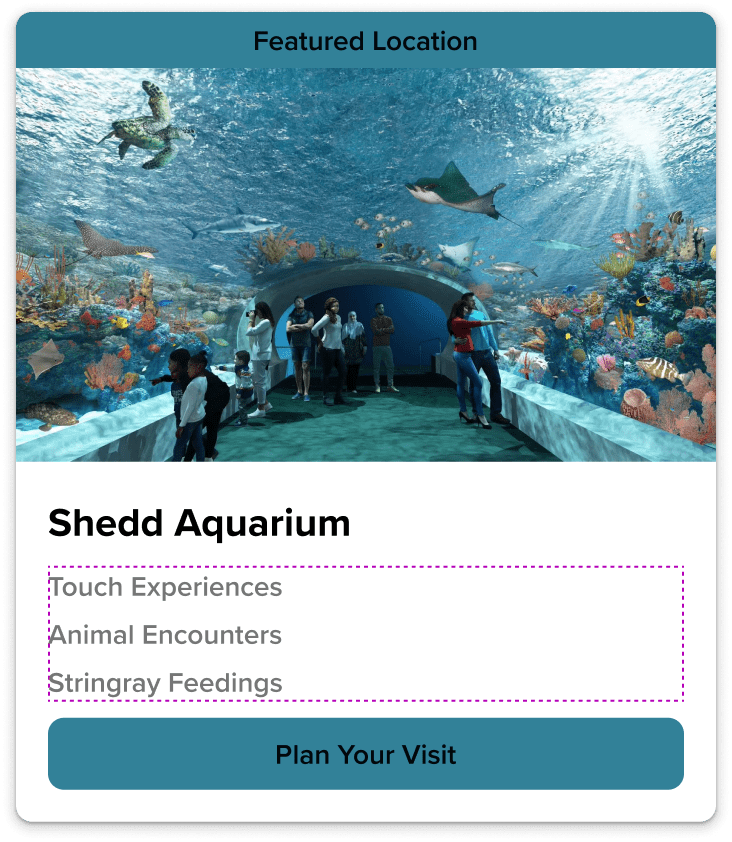 A card design showcasing the Shedd Aquarium with a featured location banner, an underwater scene, and a list of available experiences including 'Touch Experiences', 'Animal Encounters', and 'Stringray Feedings'. Below, there is a button labeled 'Plan Your Visit'.